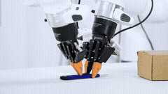 Causal World Modeling for Robot Control